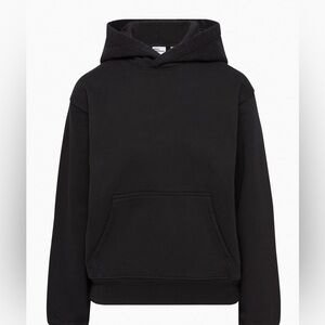 Aritzia Hoodie